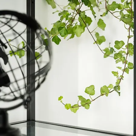 Appartement Guestready - Serene In